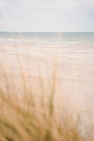 Plage calme