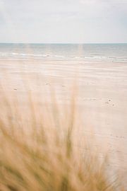 Calm beach by Laura Bosch
