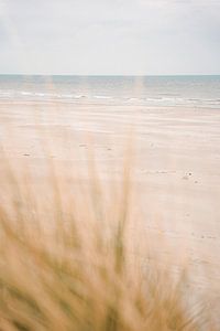 Calm beach van Laura Bosch