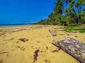 Verlaten strand bij de 'wet tropics' in Queensland, Australie van Rietje Bulthuis thumbnail