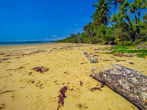 Verlassener Strand am Gesetz Tropen "in Queensland, Australien