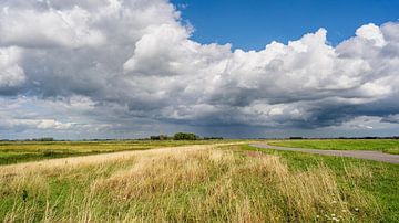 Summer day in the Biesbosch by Pixel Meeting Point