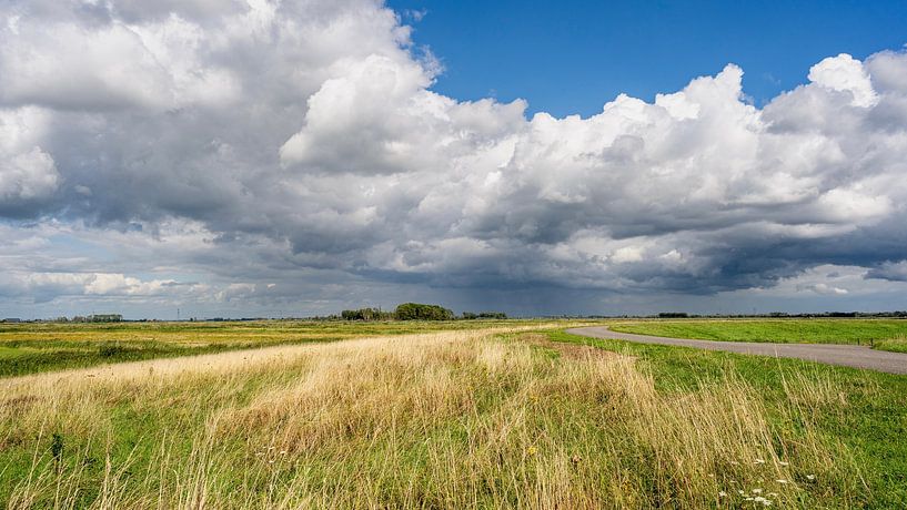 zomerdag in de Biesbosch van Pixel Meeting Point