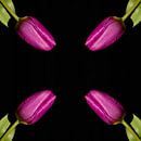Vier Tulpen van Leon Buijs thumbnail