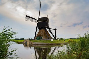 Mill in meadow by Björn van den Berg