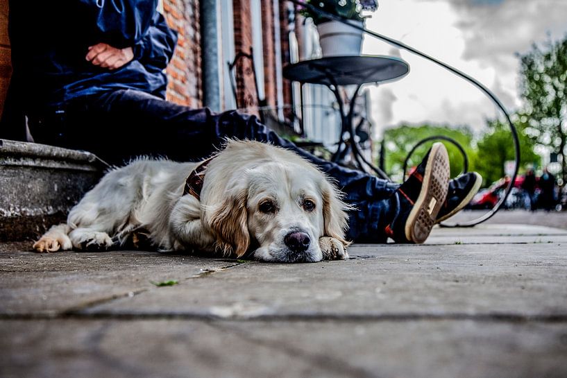 Flair am Kai von Joy Droogsma