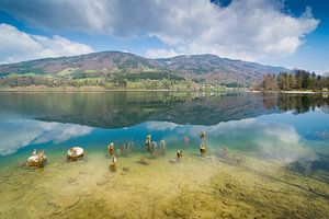 Frühling am Mondsee