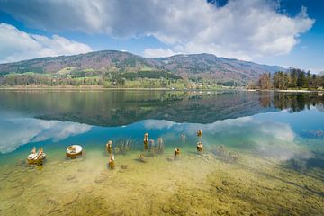 Frühling am Mondsee von Martin Wasilewski