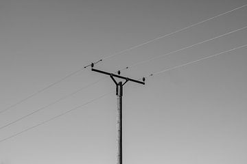 Vintage Industrie: Alter hölzerner Strommast