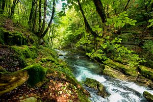 Flusslandschaft in Frankreich von Tanja Voigt