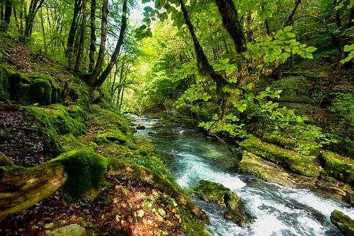 Paysage fluvial en France