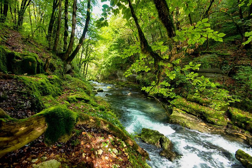 Flusslandschaft in Frankreich von Tanja Voigt