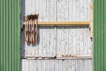 Stokvis hangt te drogen aan de muur van een schuur op de Lofoten van gaps photography