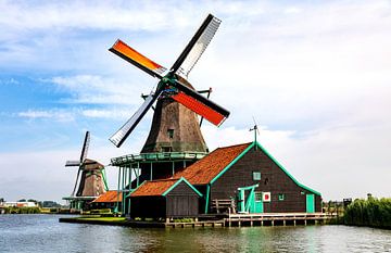 De Kat - at the open-air museum  by AidasignArt