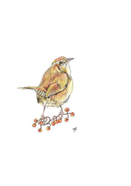 winterkoninkje van Marian van der Veen-Niemeijer