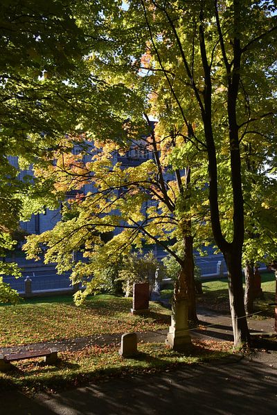 Cathedral Park in autumn by Claude Laprise