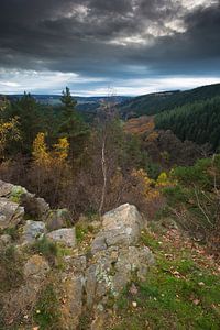 Felsformation in den belgischen Ardennen im Herbst. 