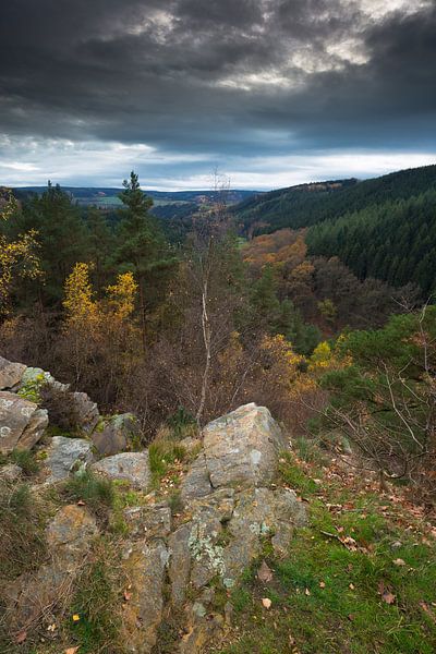 Formation rocheuse dans les Ardennes belges en automne.  par Rob Christiaans