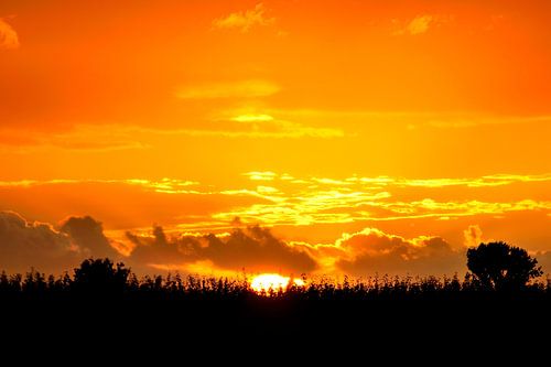 De brandende hemel von Sjoerd Murk