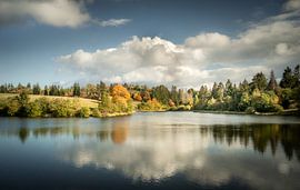 Herbstteich im Harz von Steffen Henze