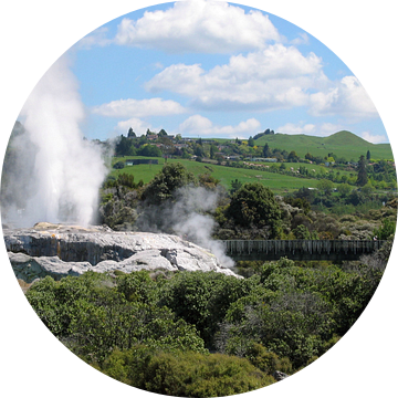 Geiser in Rotorua van Gert-Jan Siesling