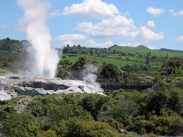 Geyser in Rotorua by Gert-Jan Siesling