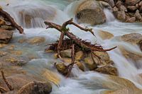 Mountain stream in the Valais