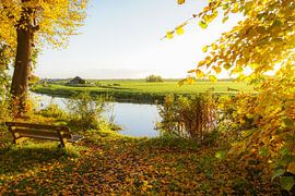 Bos te Warmond by Dirk van Egmond