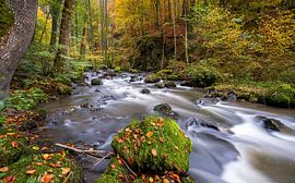 Strohner Zwitserland, Rijnland-Palts, Duitsland van Alexander Ludwig