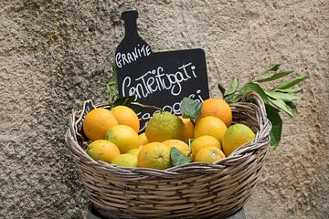 Citrons sur Hanneke Bantje