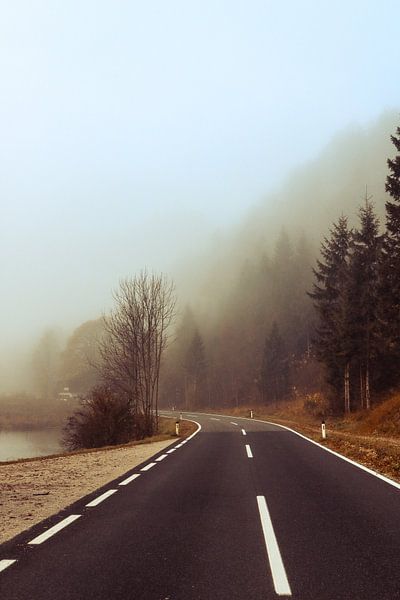 Foggy road in Austria by Saranda Hofstra