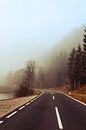 Foggy road in Austria by Saranda Hofstra thumbnail