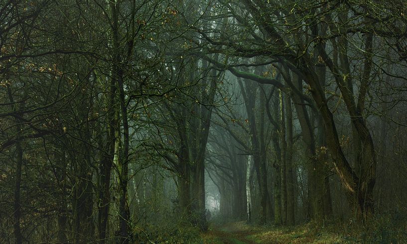 Das Verschwinden von LANETfotografie