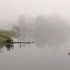 Floating in Fog von Lena Weisbek