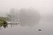 Floating in Fog von Lena Weisbek