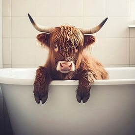 Scottish Highlander in Bath by But First Framing