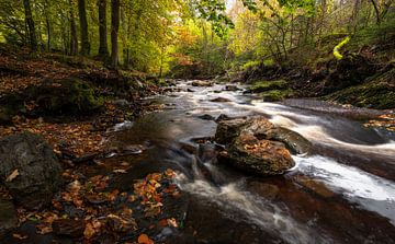 Bezaubernder Herbst am Fluss: Belgische Ardennen von Hevonax Photography