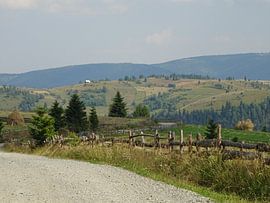 Heuvels in Roemenië (3)  sur Wilma Rigo