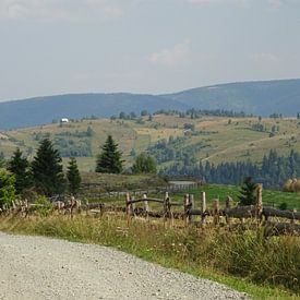 Heuvels in Roemenië (3)  van Wilma Rigo