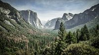 Yosemite in seiner schönsten Form von Chantal Nederstigt Miniaturansicht