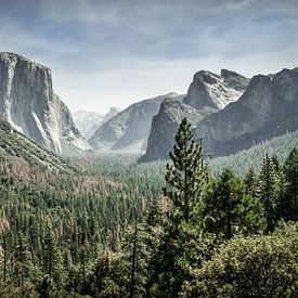Yosemite op haar mooist van Chantal Nederstigt