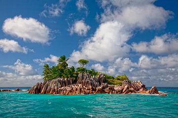 ST. PIERRE ISLAND van Thomas Herzog