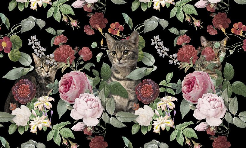 About Cats &amp; Flowers by Marja van den Hurk