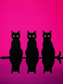 Cats by Color Square