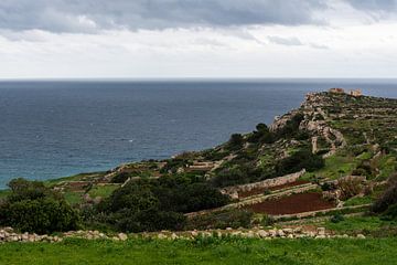 Blick auf eine grüne Landschaft mit Felsen und das Mittelmeer von Werner Lerooy