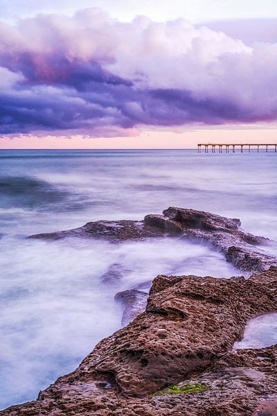 Winter's Purple Majesty by Joseph S Giacalone Photography