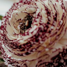 Bloemen van Denny Lerch