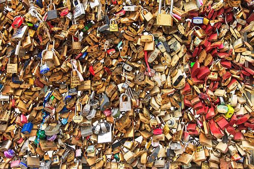 Locks at the bridge near the Natre-Dame in Paris by Dennis van de Water