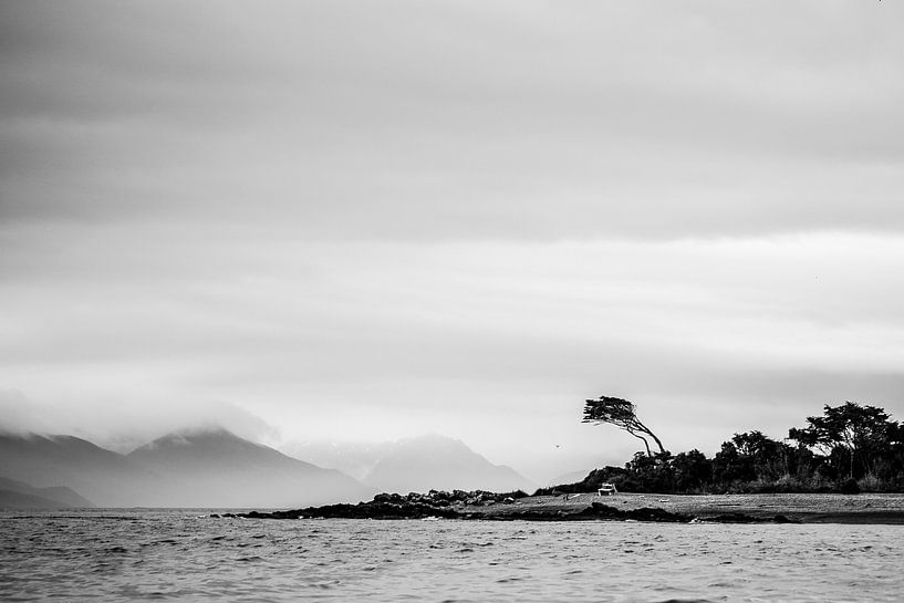 Chile - Lonely tree in the Strait of Magellan by Jack Koning