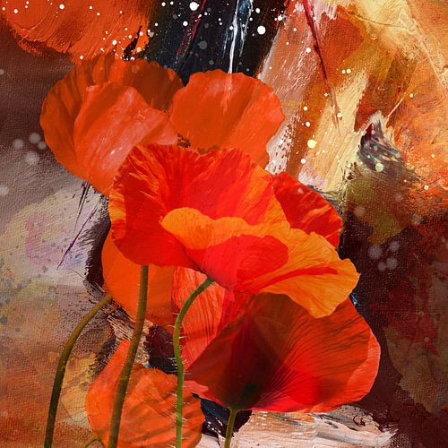 Poppies